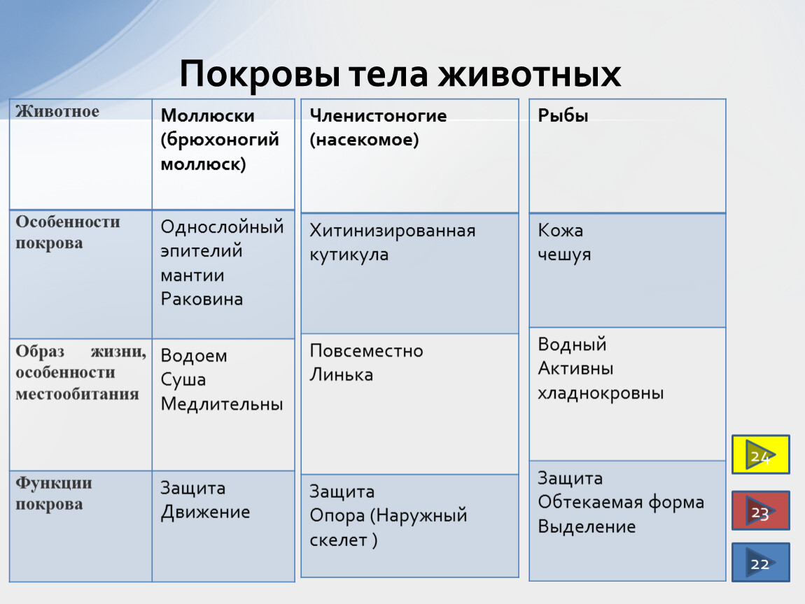 Лабораторная работа изучение особенностей. Таблица покровы тела 7 класс биология. Покровы тела таблица 7 класс. Особенности покровов тела животных таблица. Покровы тела животных.