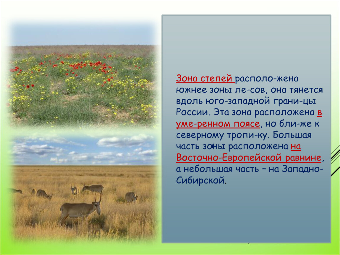 Какие природные зоны есть в степи. Зона степей 4 класс окружающий мир. Сообщение о степи. Проект про степи. Окружающий мир тема зона степей.