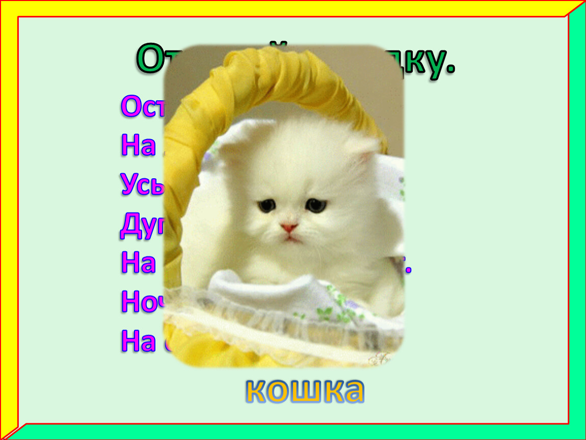 Отгадай загадку. Острые ушки, На лапах подушки,