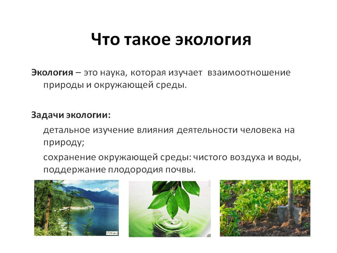 Примеры изучения экологии