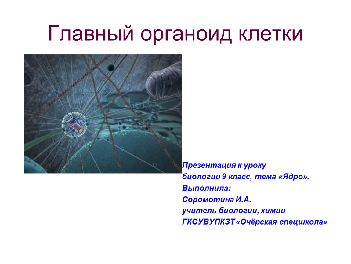 Клетка презентация 10 класс. Презентация по биологии ядро. Урок ядро 9 класс биология. Орфео Анджелуччи ядерная биология.