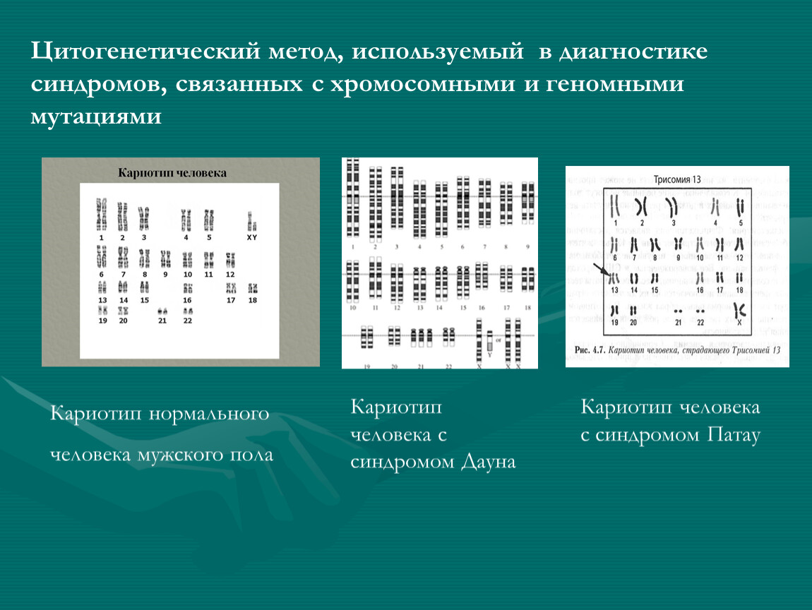 Цитогенетический метод таблица