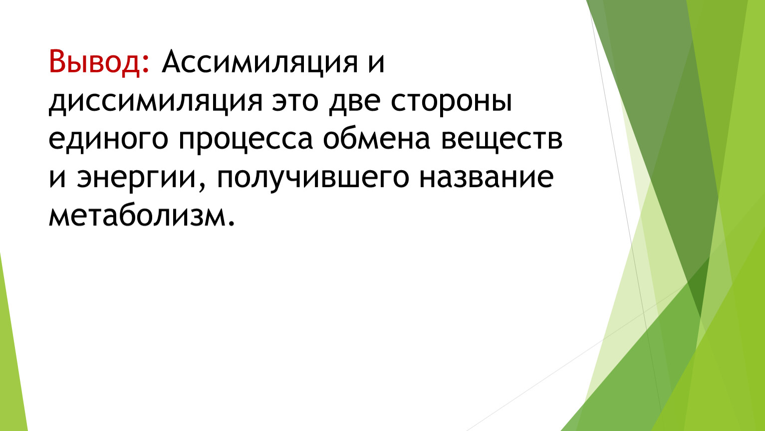 Особенностью проекта получившего название булыгинская дума было