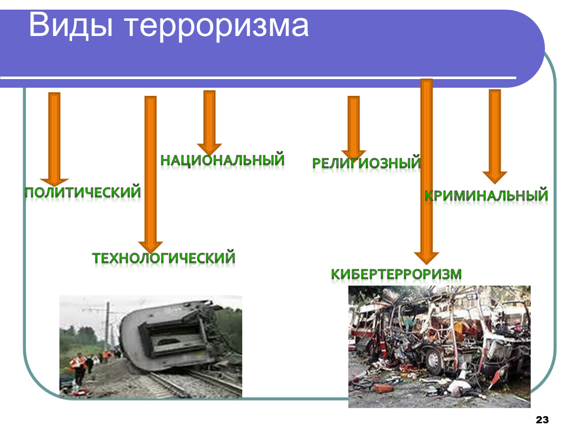 План политический терроризм