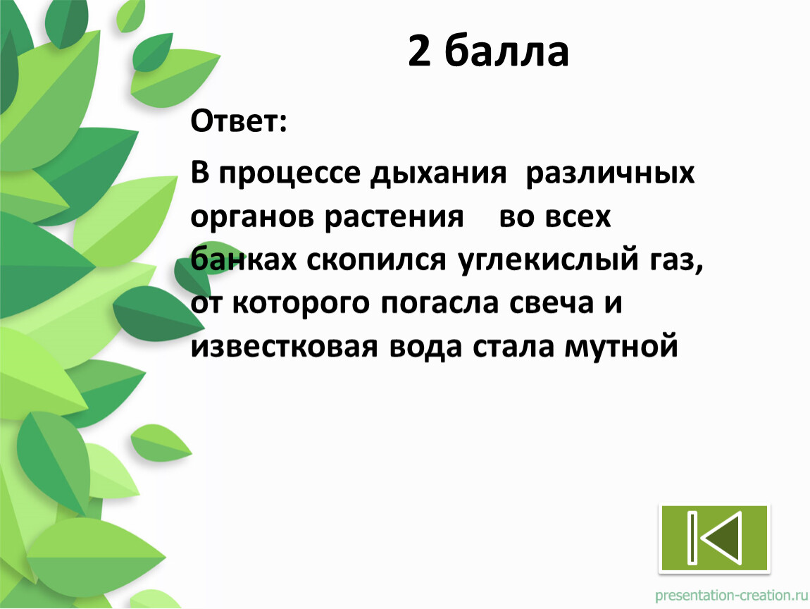 Презентация 6 класс Дыхание. Испарение. Фотосинтез