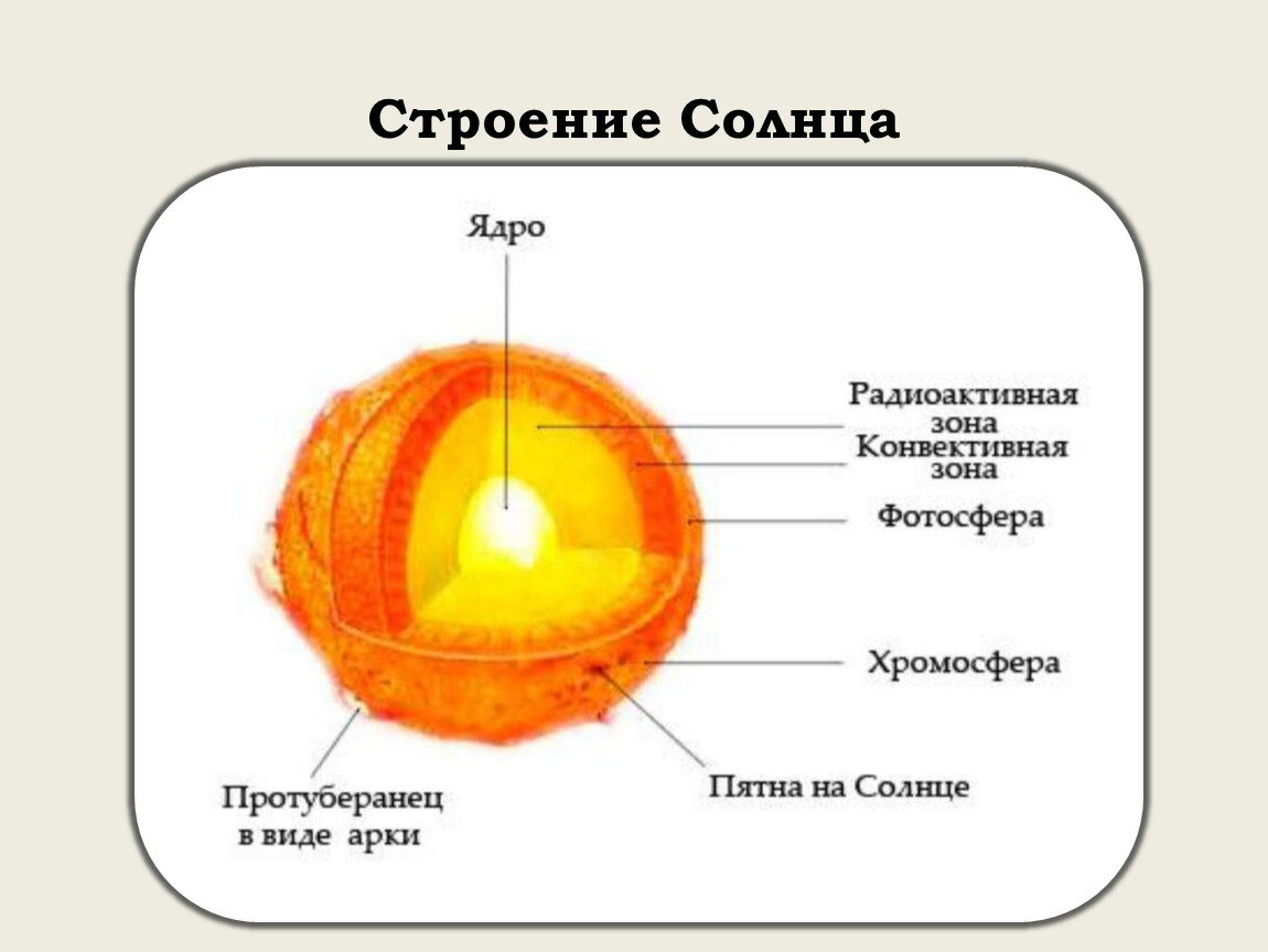 Строение солнца внутреннее картинка