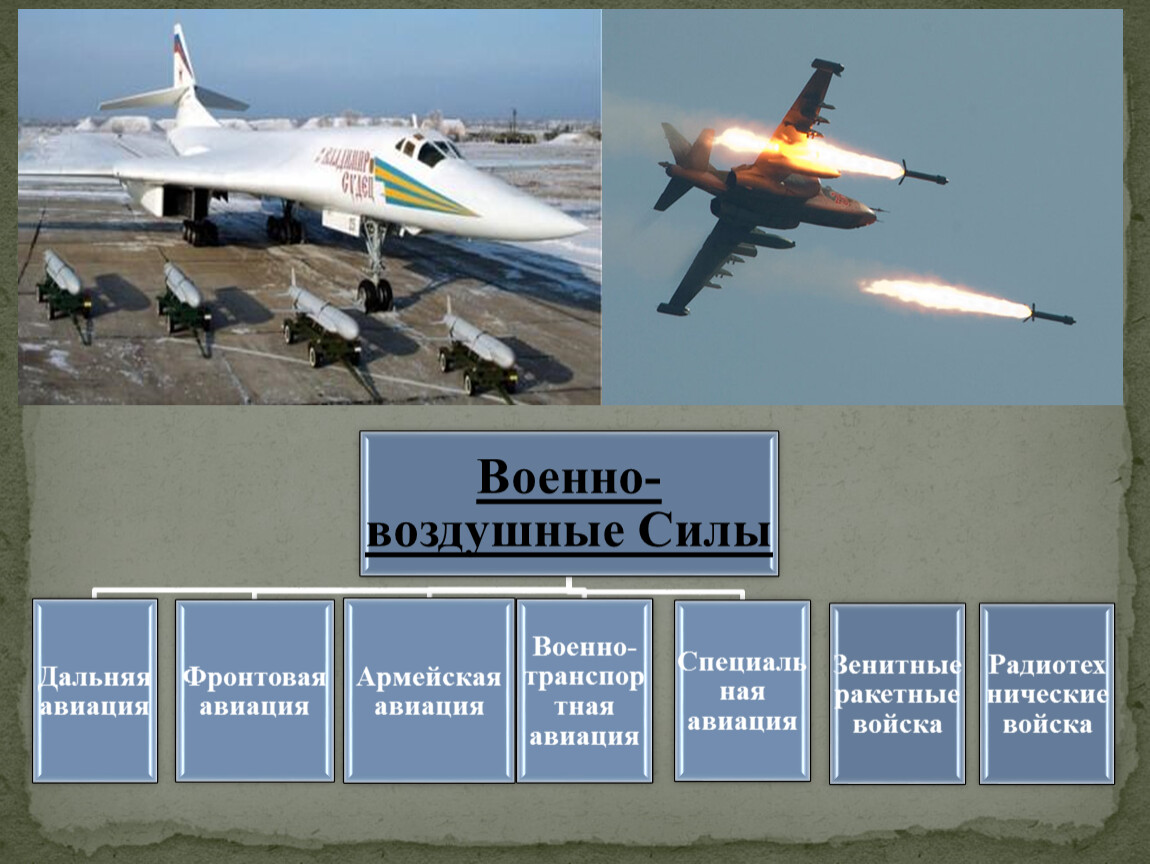 Виды и рода вс рф презентация