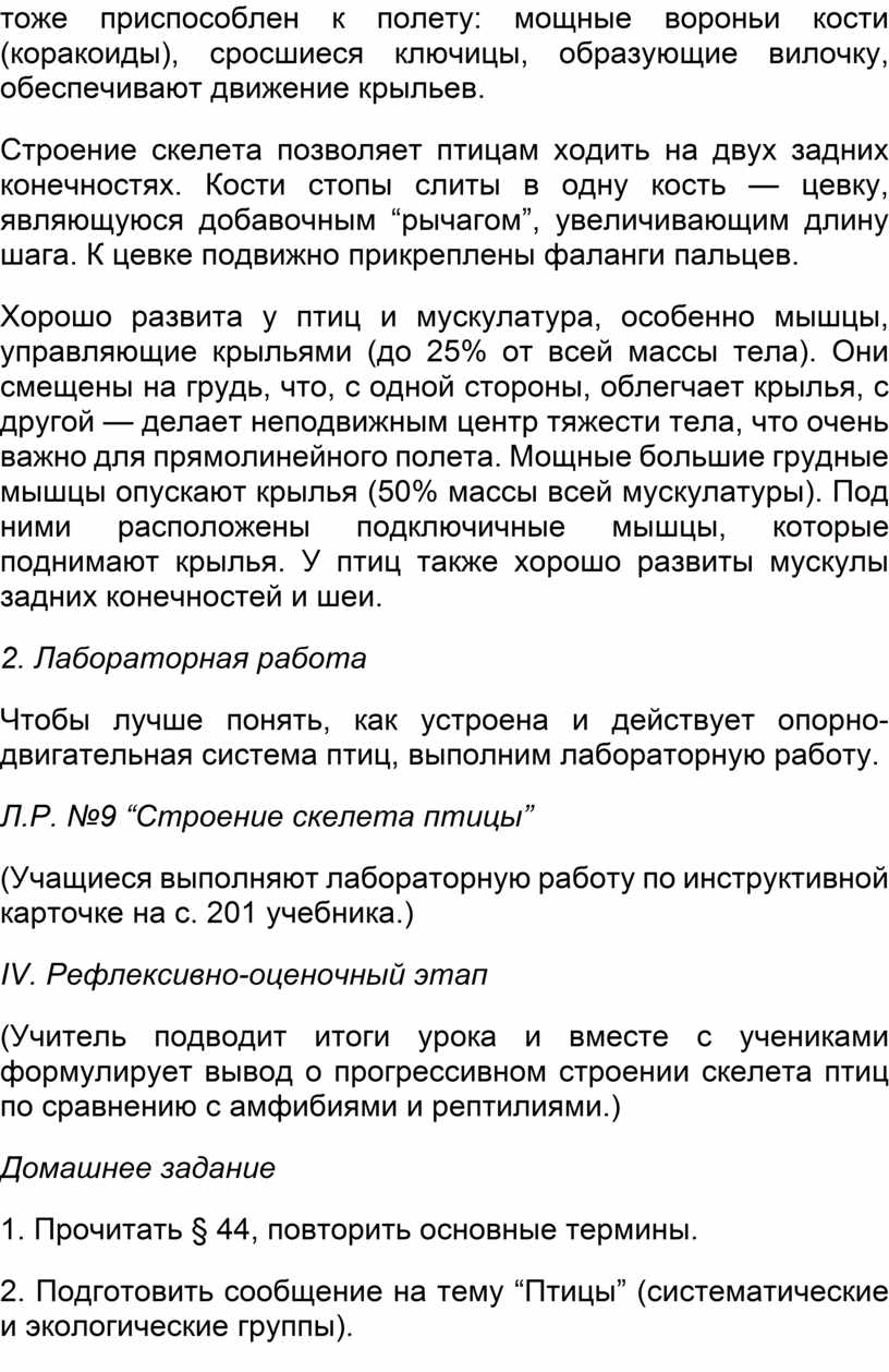 Строение скелета позволяет птицам ходить на двух задних конечностях