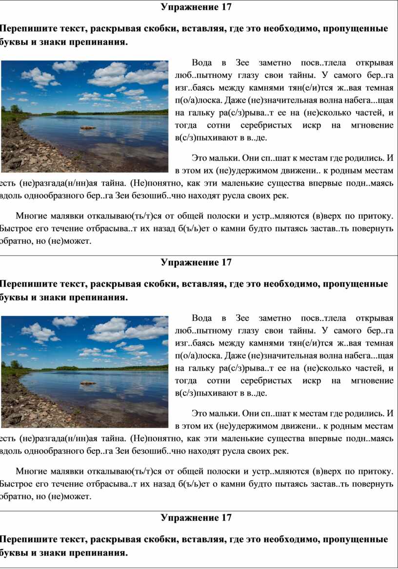 Упражнение 17 Пе репишите текст, раскрывая скобки, вставляя, где это необходимо, пропущенные буквы и знаки препинания