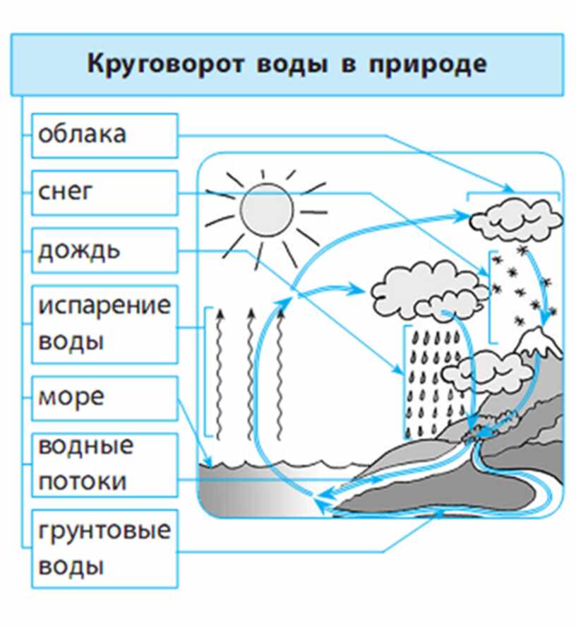 Закончите схему окружающий мир