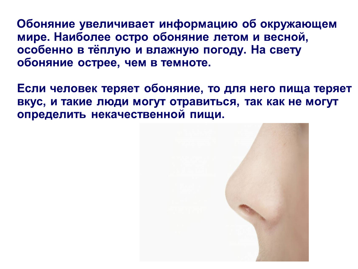 Про обоняние. Органы чувств нос. Сообщение об органе чувств нос. Нос орган обоняния. Презентация на тему нос.