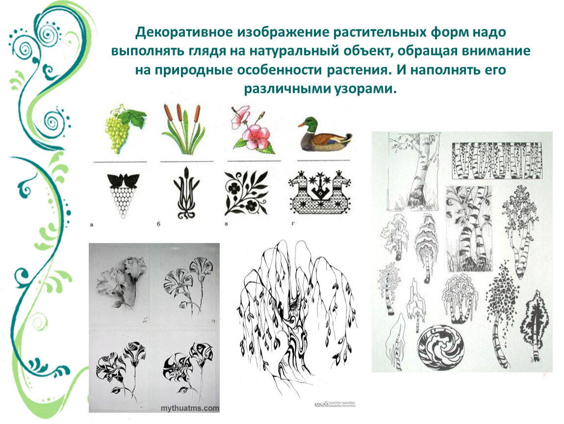 Изобразить растительно и животных