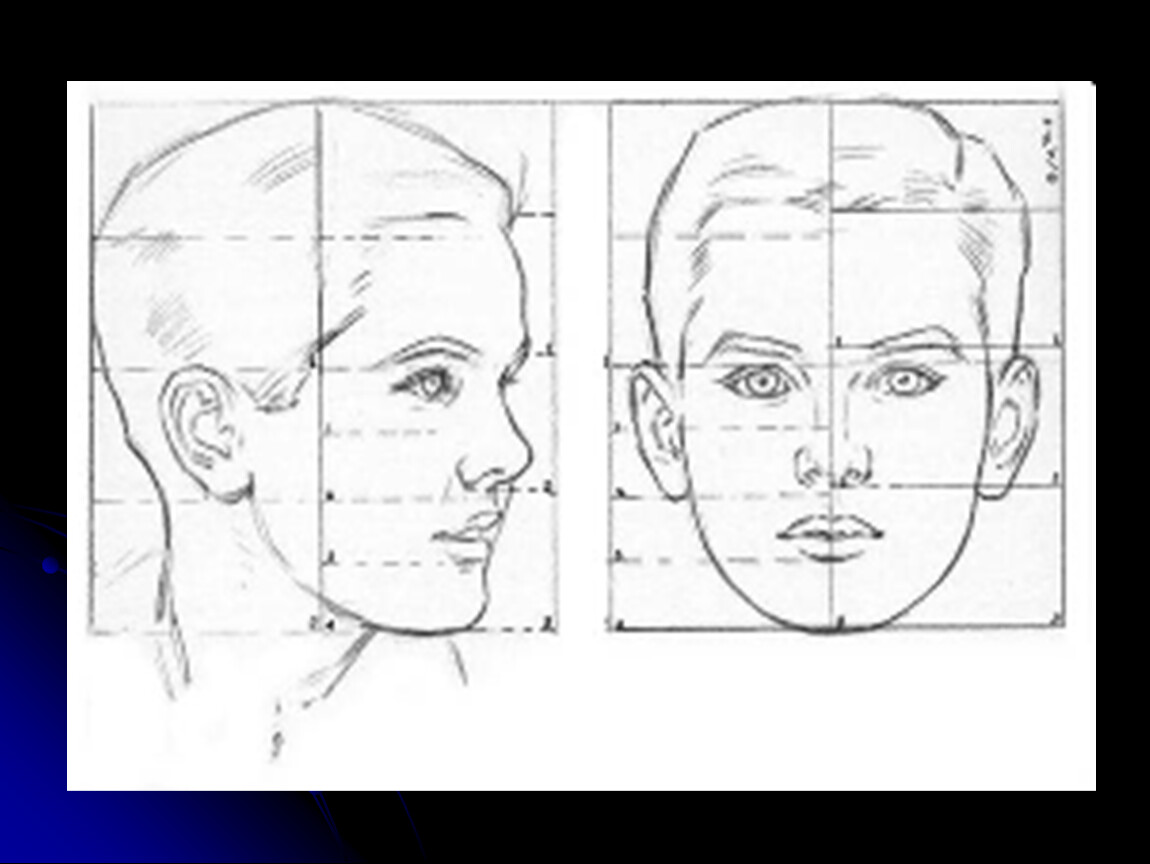 Изобразить образ человека. Портрет пропорции лица. Пропорции лица человека схема. Пропорции лица для рисования схема. Портрет в графике изо.