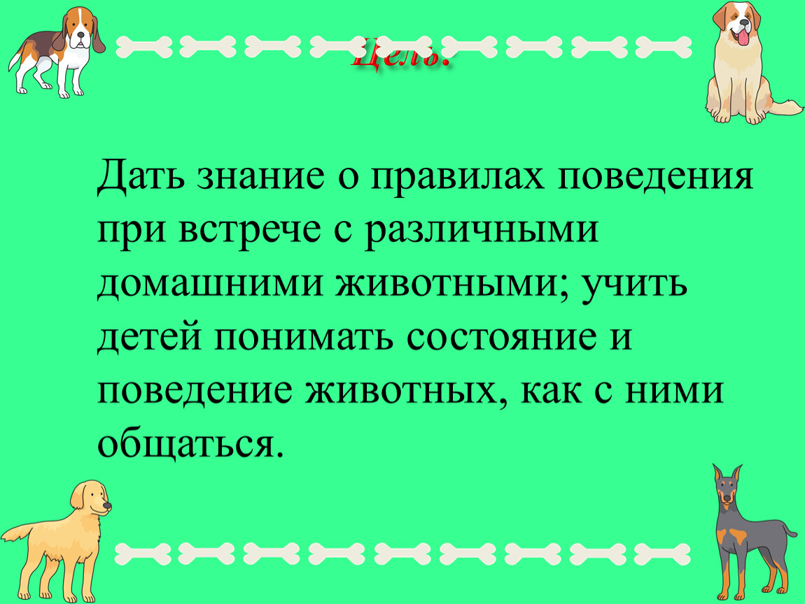 Учимся понимать животных речевая практика 3 класс презентация