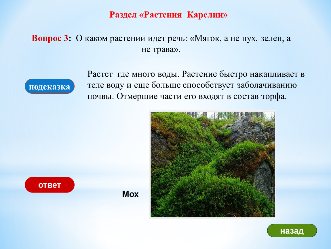 Разделы растений. Какие растения способствуют заболачиванию местности. Вопросы про Карелию с ответами. Вопросы по Карелии. Заболачиванию почвы скопление какой группы растений.