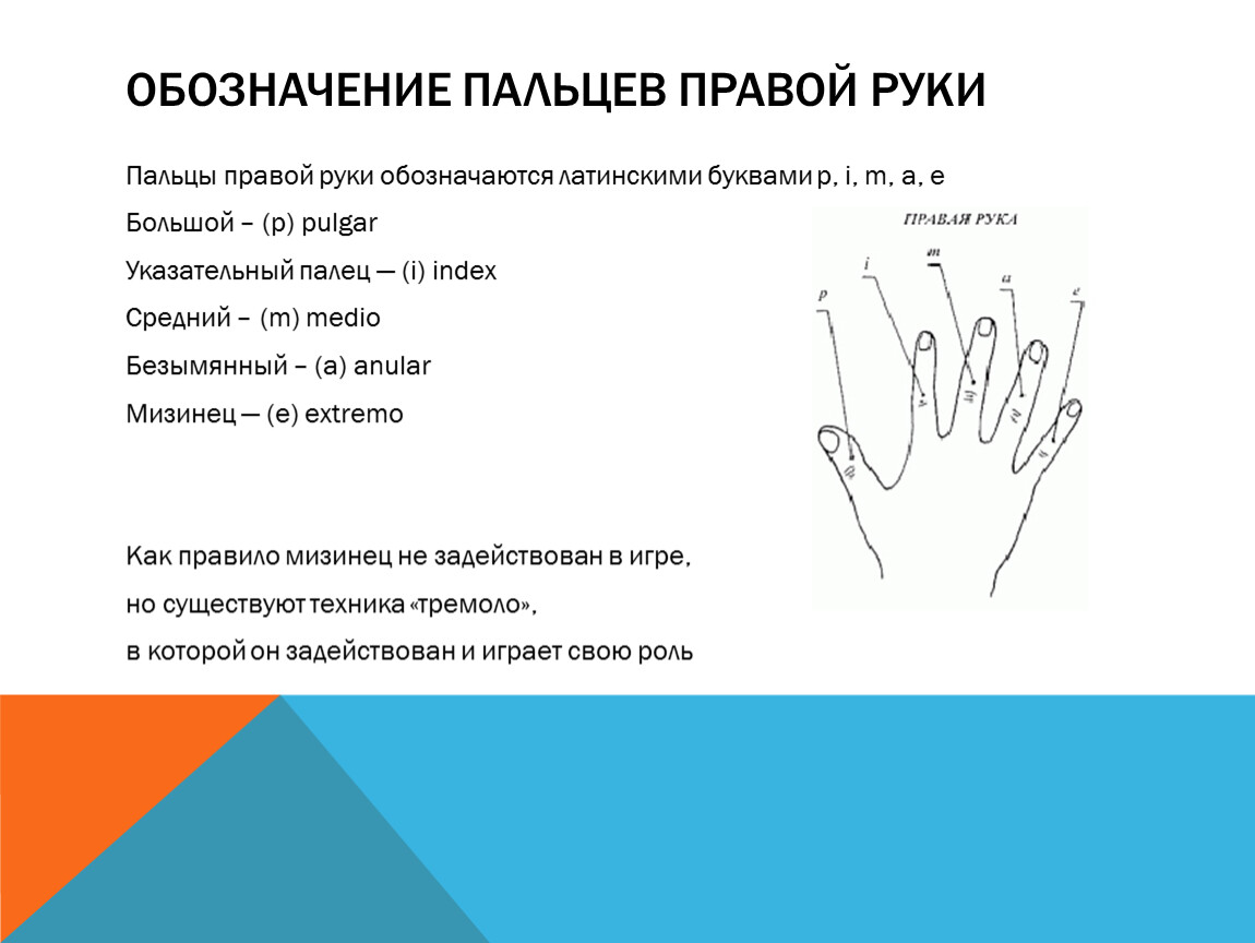 Что обозначает руки. Обозначение пальцев на руке. Пальцы обозначение. Обозначение жестов пальцами. Обозначения пальцев правой руки.