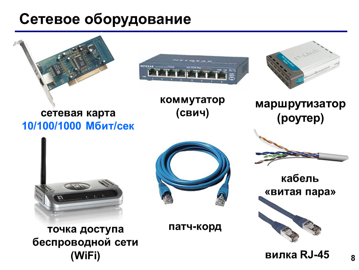 К какому типу оборудования относится сетевая карта