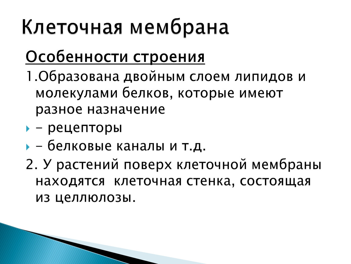 Особенности клеточного ответа. Характеристика клеточной мембраны. Особенности строения мембраны. Особенности клеточной мембраны. Клеточная мембрана образована двойным слоем.