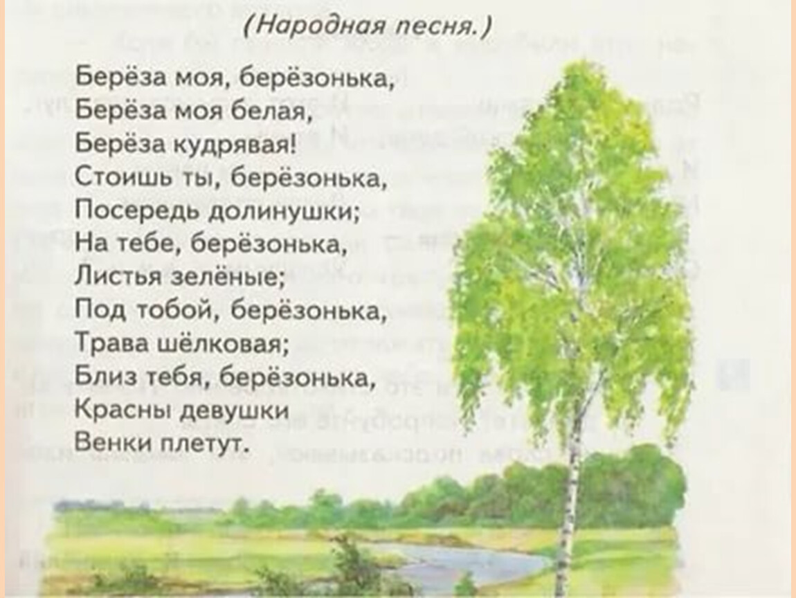 Русская березка стихотворение