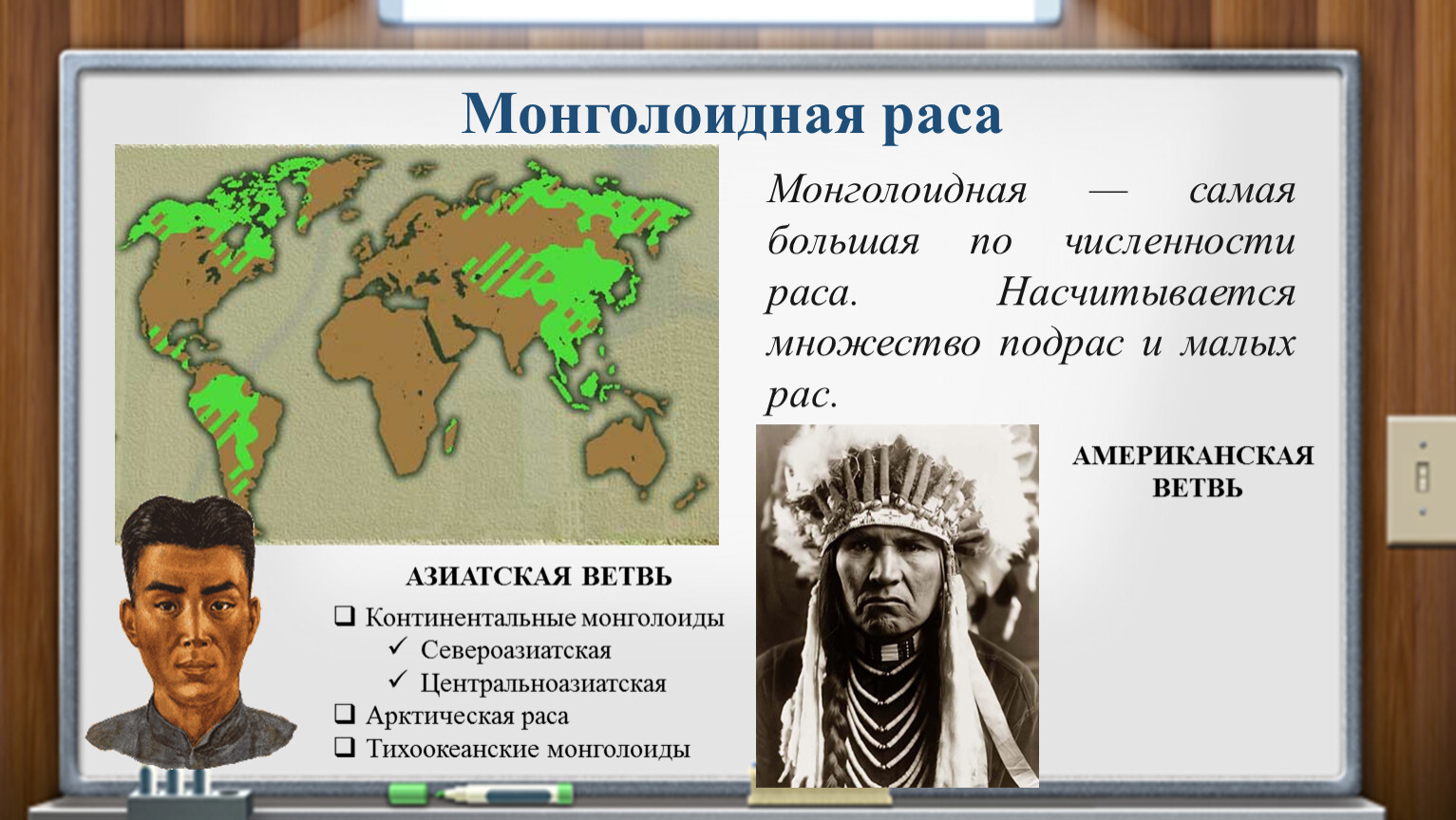 Представители монголоидной расы проживают в основном