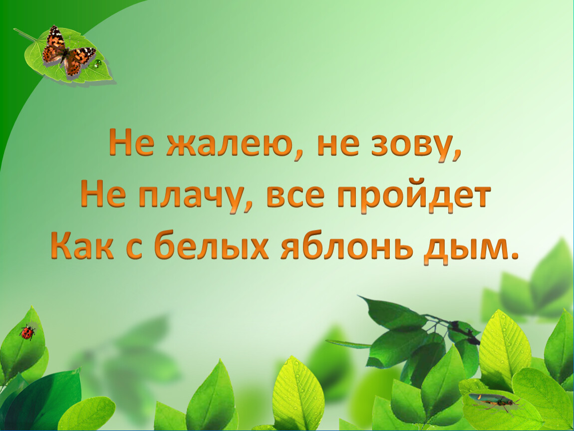 Все прошло как с белых яблонь. Всё пройдёт как с белых яблонь дым. Не жалею не зову. Не зову не плачу. Не кричу не зову не плачу.