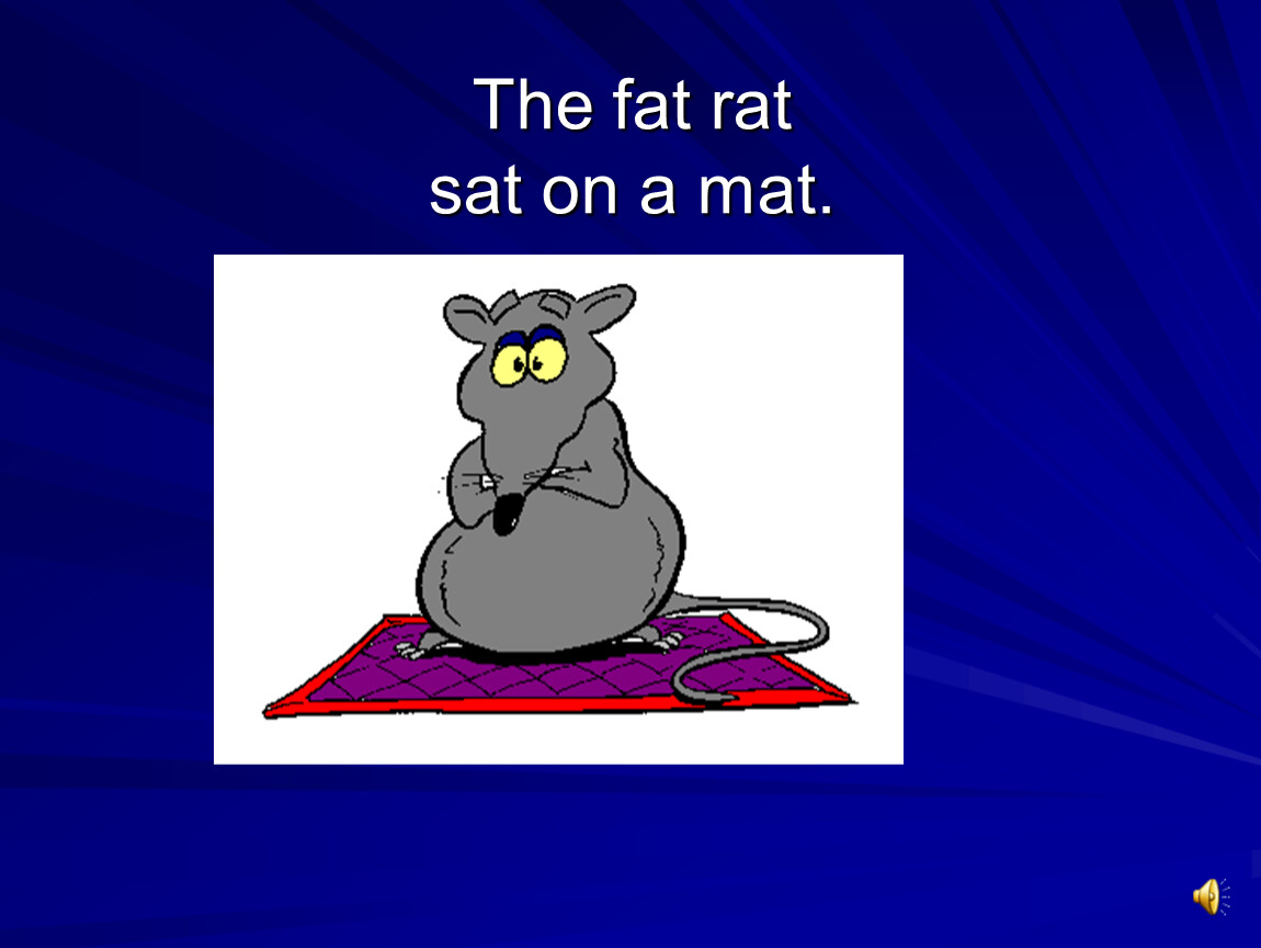 Rat sat