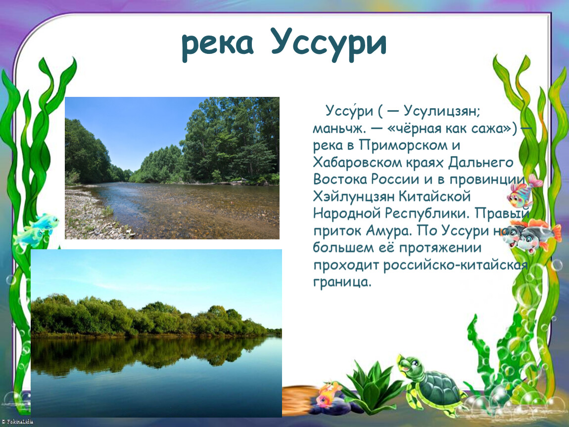 Какая река протекает в уссури. Описание реки Уссури. Реки и озера Хабаровского края. Водоёмы Хабаровского края. Уссури приток Амура.