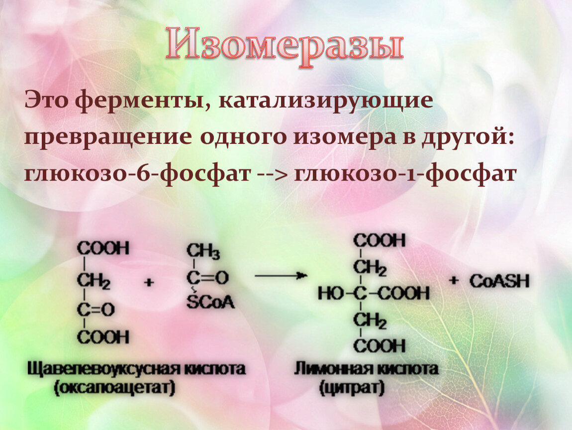 Особенности реакций ферментов. Изомеразы ферменты. Изомеразы это ферменты катализирующие. Реакции ферментов. Ферменты изомеразы реакции.