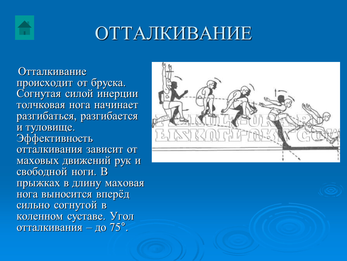 Отталкивание в прыжках. Отталкивание. Толчковая и маховая нога. Толчковая нога в легкой атлетике.