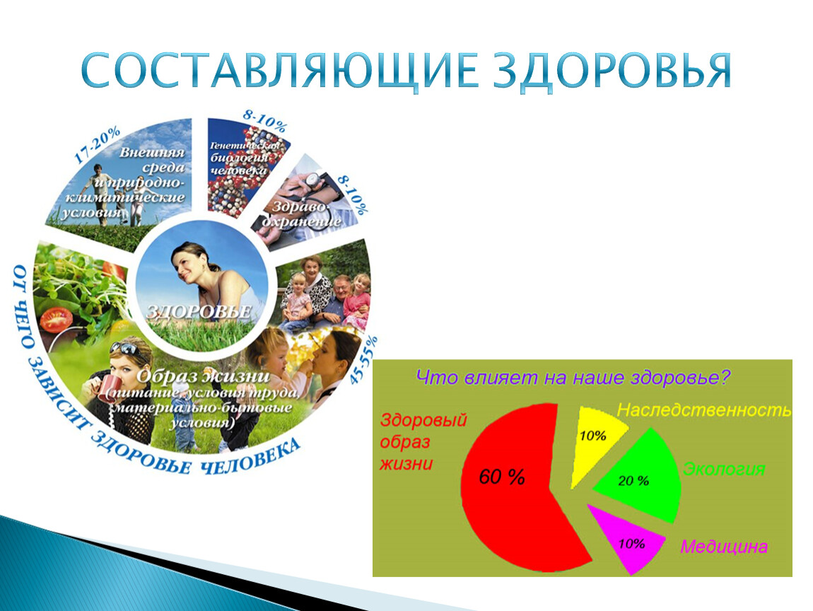 СОСТАВЛЯЮЩИЕ ЗДОРОВЬЯ