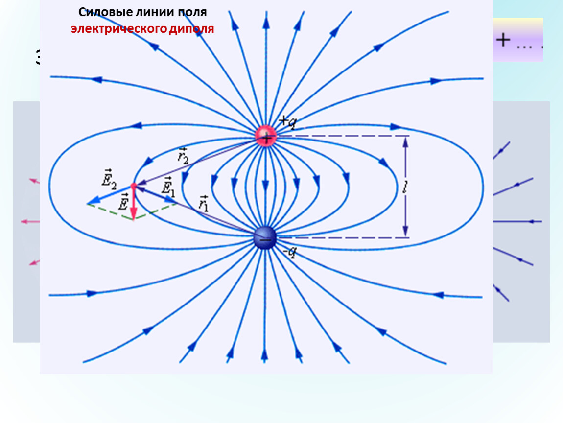 9 электрическое поле. Силовые линии электрического поля q 2q. Силовые линии электрического поля электрического диполя.. Силовые линии кулоновских полей электрического диполя?. Силовые линии напряженности электрического поля.