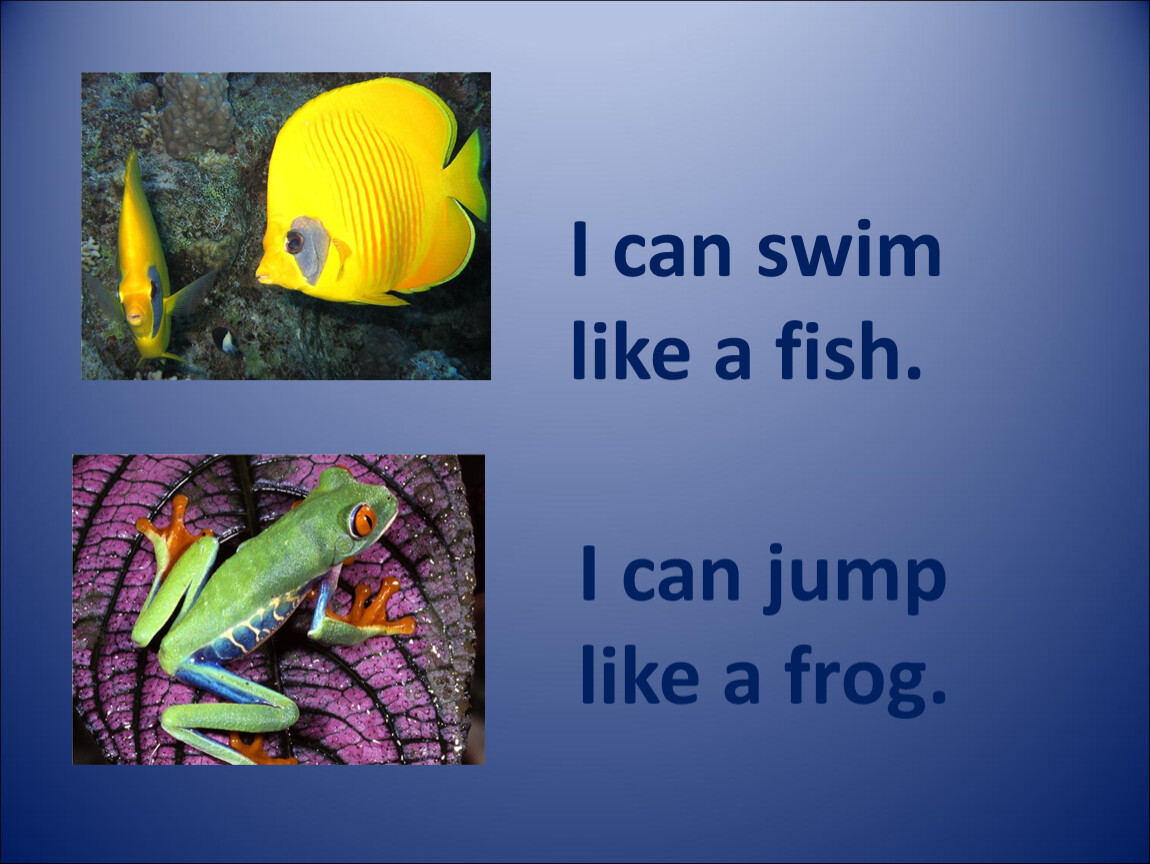 Jump like a frog sing dance. I can Swim like a Fish. I can Jump like a Frog. Frog can Swim. A Fish can Swim.