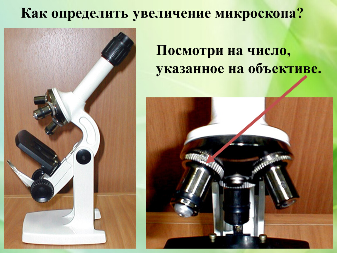 Какое увеличение дает данный микроскоп как узнать. Увеличение микроскопа. Увеличительный прибор в микроскопе. Увеличение объектива микроскопа. Объектив микроскопа.