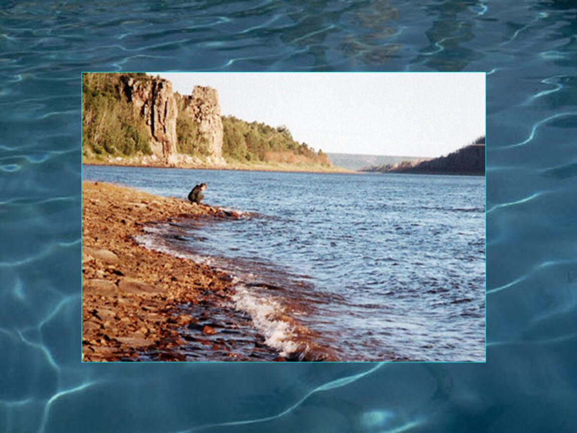 Приморские ресурсы. Водные ресурсы области. Водные ресурсы Амурской области. Водные богатства нашего края Амурской области. Водные богатства Амурской области 4 класс.