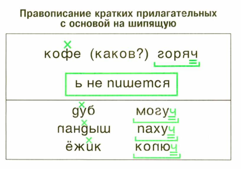 Прилагательное с шипящей на конце. Краткие прилагательные с основой на шипящую. Краткие прилагательные с основой на шипящих. Правописание кратких прилагательных с основой на шипящий. Что такое краткое прилагательное с основой на шипящие.