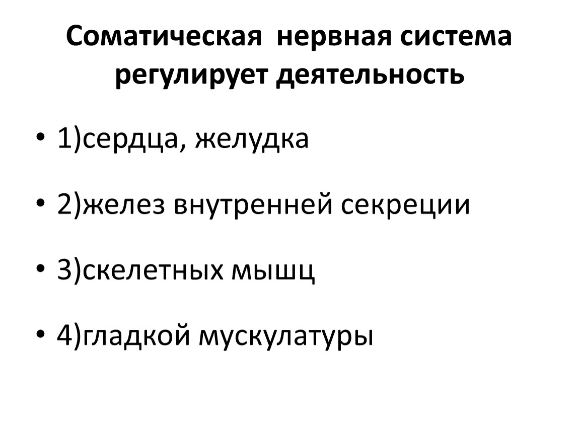 Работу всех органов человека регулируют. Соматическая нервная система регулирует. Соматическая нервная система регулирует работу. Функции соматической нервной системы. Соматическая нервная система регулирует деятельность сердца желудка.