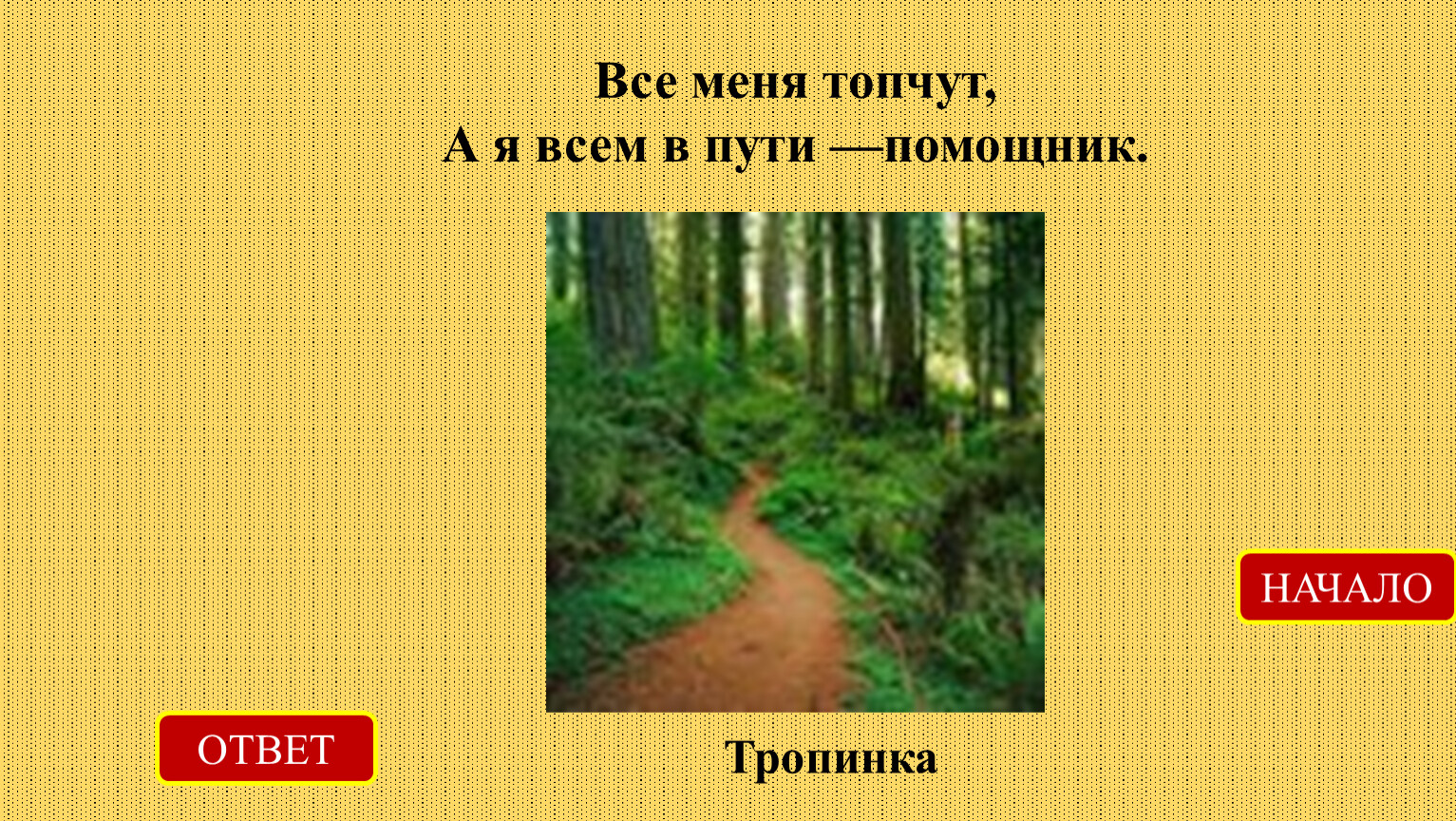 Побежали босоножки по дорожке мимо дома ответ. Загадки с ответом тропинка. Тестирование Лесная тропинка ответы. Все меня топчут а я все лучше ответ на загадку.