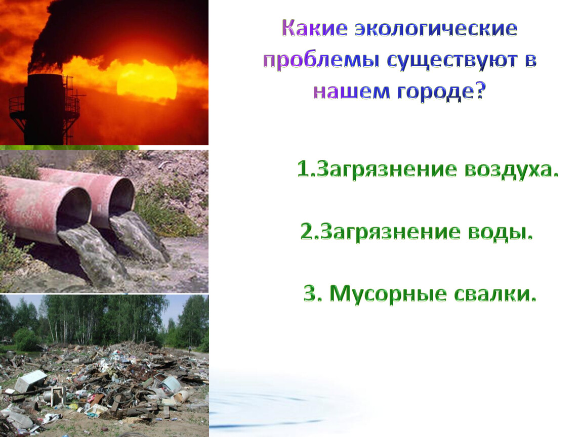 3 примера экологии. Экологические проблемы. Проблемы экологических проблем. Экологические экологические проблемы. Экология и экологические проблемы.