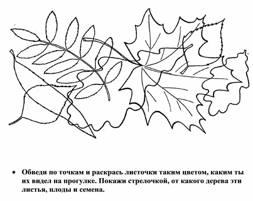 На чертежах раскрась зеленым цветом пересечение фигур и обведи красным их объединение