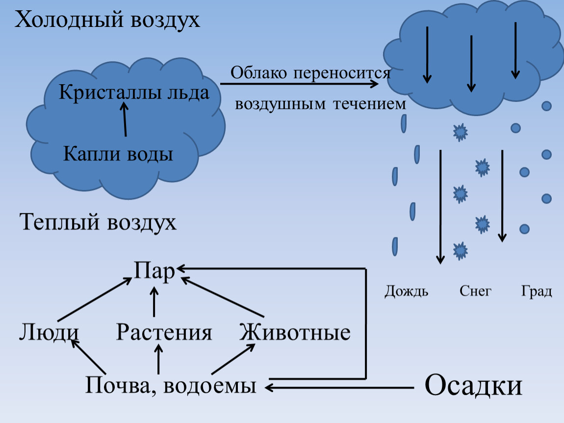 Причины образования облаков. Схема образования осадков. Образование облаков. Образование облаков и осадков. Механизм образования облаков.