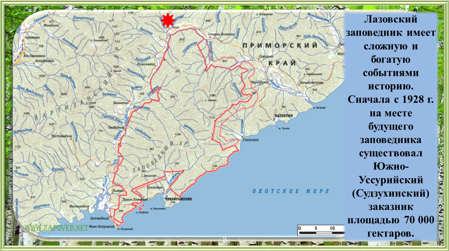 Лазовский заповедник где находится. Лазовский заповедник на карте. Заповедник Лазовский на карте дальнего Востока. Лазовский заповедник эмблема.