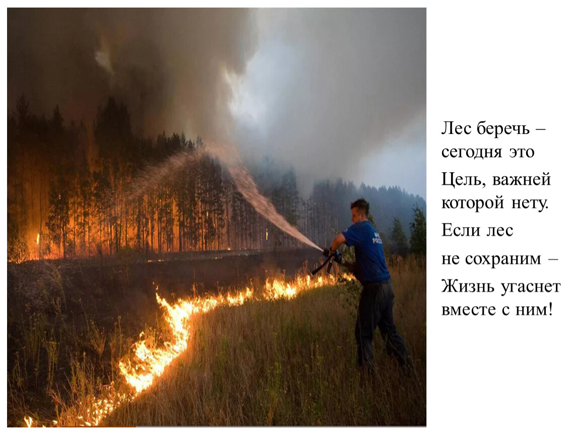 Презентация берегите лес от пожара