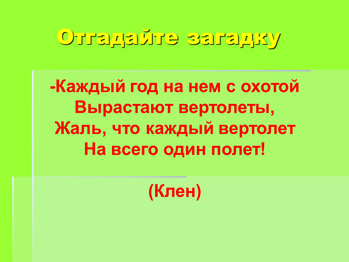 Загадка каждый. Каждый год на нём с охотой вырастают вертолёты. Каждый год на нем с охотой вырастают вертолеты жаль. Каждый год на нем с охотой вырастают вертолеты ответ. Каждый год на нем с охотой вырастают вертолеты ответ загадка.