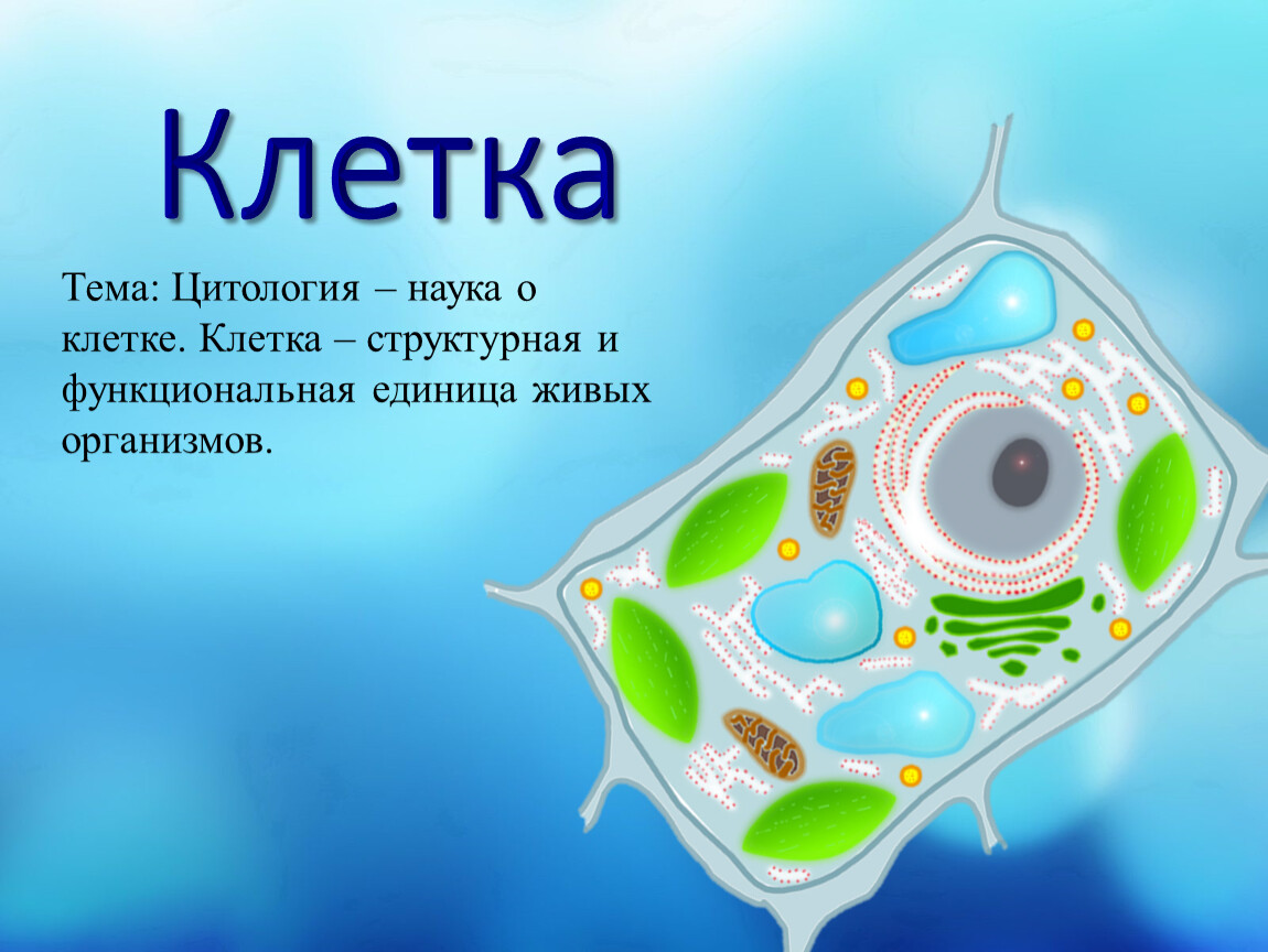 Клетка Тема: Цитология – наука о клетке