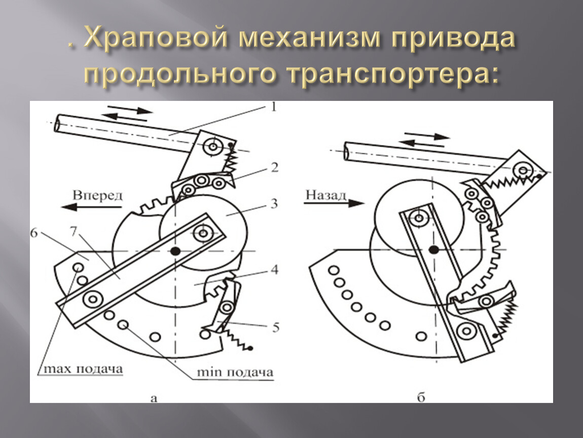 Храповой механизм чертеж