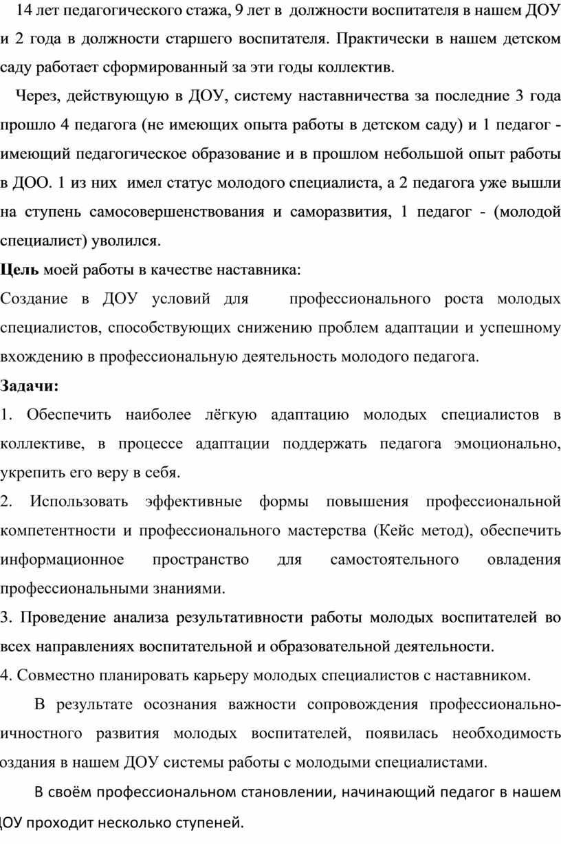 Описание опыта работы педагога-наставника в ДОУ