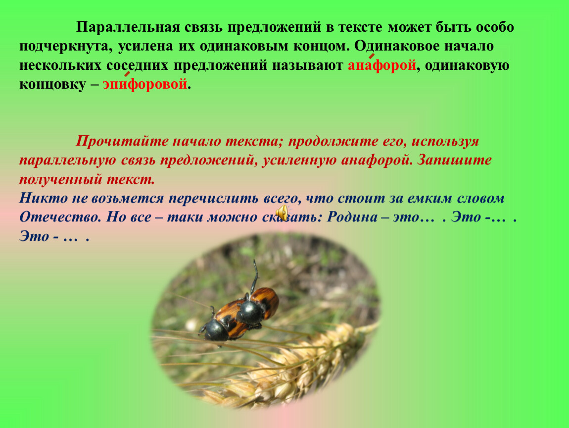 Начало текста это. Параллельное строение текста примеры. Одинаковое начало предложений это. Одинаковая концовка нескольких предложений. Одинаковое начало в соседних предложениях называют.