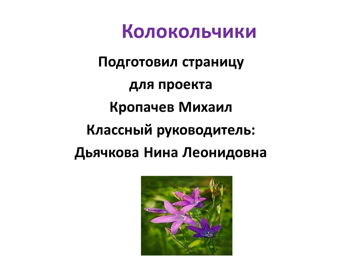 А толстой колокольчики мои презентация 3 класс перспектива