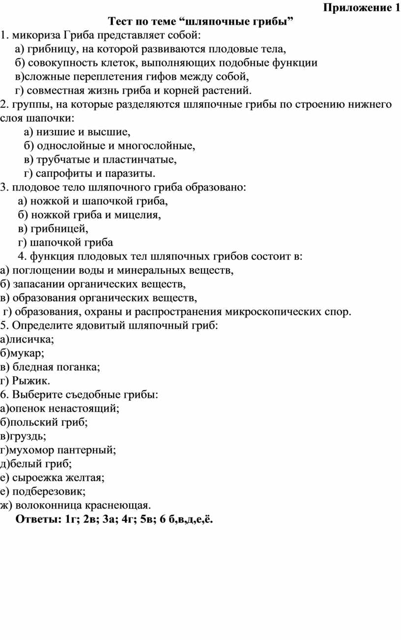 План- конспект урока по биологии 