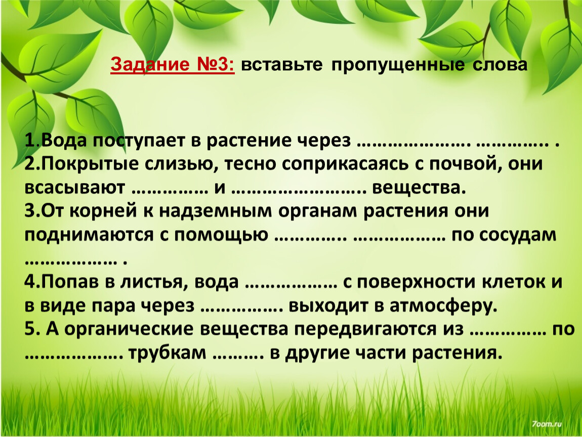 Вставить пропущенные вещества. Вставьте пропущенные слова задание 3. Передвижение воды и питательных веществ в растении 6 класс. Задание вставьте пропущенные слова. Передвижение веществ у растений 6 класс.